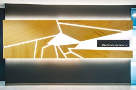 Custom feature wall designed and built by NANO LLC from 3form Chroma and cypress plywood.