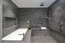 Bathing area, including all grab bar fixtures.