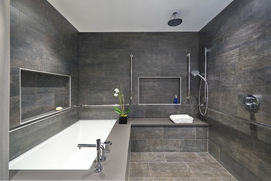 Bathing area, including all grab bar fixtures.