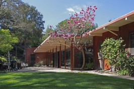 Residence, Hillsborough, CA,Exterior, garden, glass wall