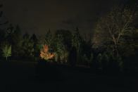 Landscape lighting scene for the Burn Pile area at Saluki Park, designed by Group 1 as part of the International Landscape Lighting Institute's fall 2013 workshop.This quarter-acre area was formerly the burn pile for the property.