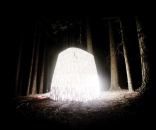 This 3D-printed pavilion from Oakland, Calif.-based design firm Smith|Allen is designed to emulate the natural environment while accommodating both people and nature.