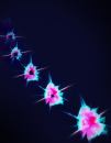 An image sequence demonstrating the regeneration of self-repairing material within a puncture.