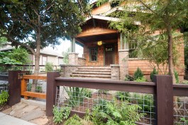 Front View