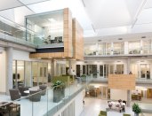 Cantilevered team workrooms and projecting counter areas, both clad in light wood, act as vertical reflectors of daylight that filters down from the deep skylight wells above.