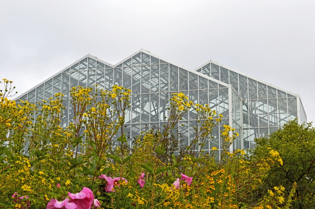 The 15,000 square foot, five-story Lena Meijer Tropical Conservatory constructed of galvanized steel is the centerpiece of the Frederik Meijer Gardens and Sculpture Park.
