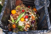 fresh household scrap in the compost bin