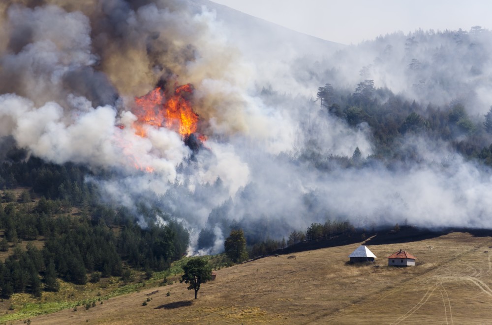 43% of new homes built between 1990 and 2010 occupy Wildland-Urban Interface (WUI) areas