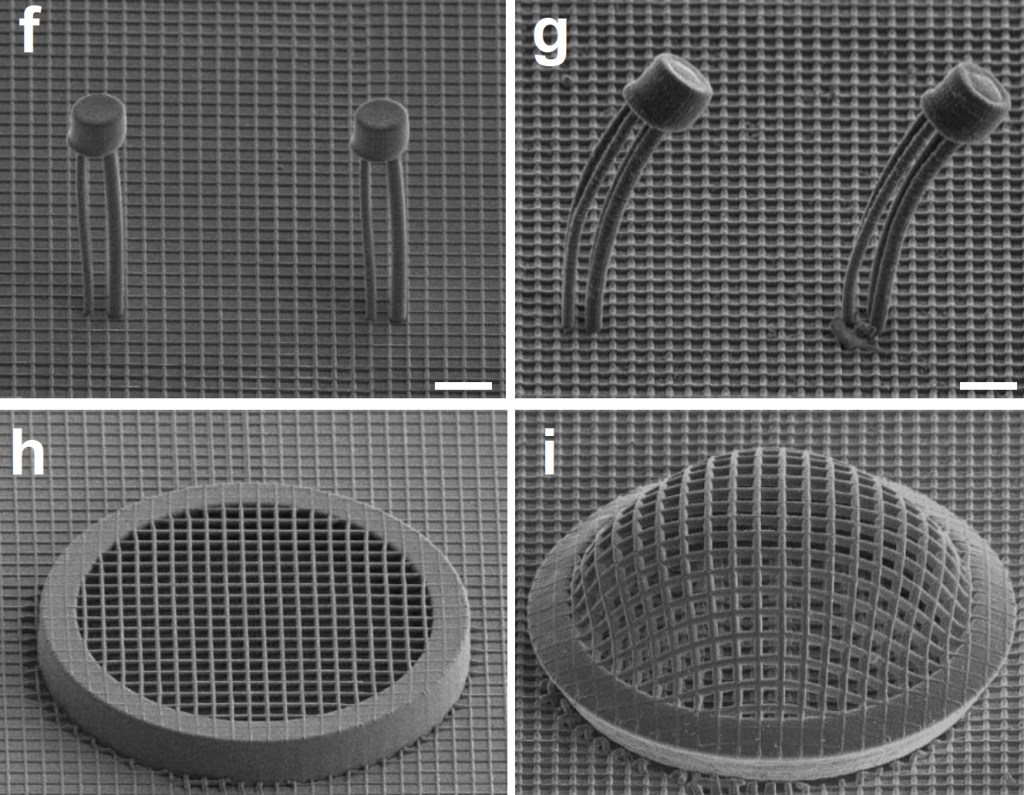 Microscope view of changing architected material