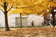 Branching Inventory, by University of Tennessee, Knoxville architecture students Tyler Sanford and Kevin Saslawsky