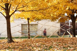 Branching Inventory, by University of Tennessee, Knoxville architecture students Tyler Sanford and Kevin Saslawsky