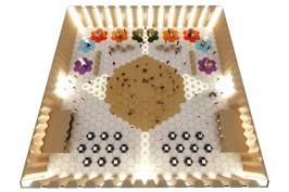 Museum of Diversity (virtual), designed by SPPARC