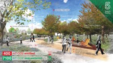 A case study from the San Francisco firm CMG Landscape Architecture shows how specific design improvements, such as careful material and foliage selections, can transform a university campus into one that more powerfully sequesters carbon for a 74% reduced footprint.