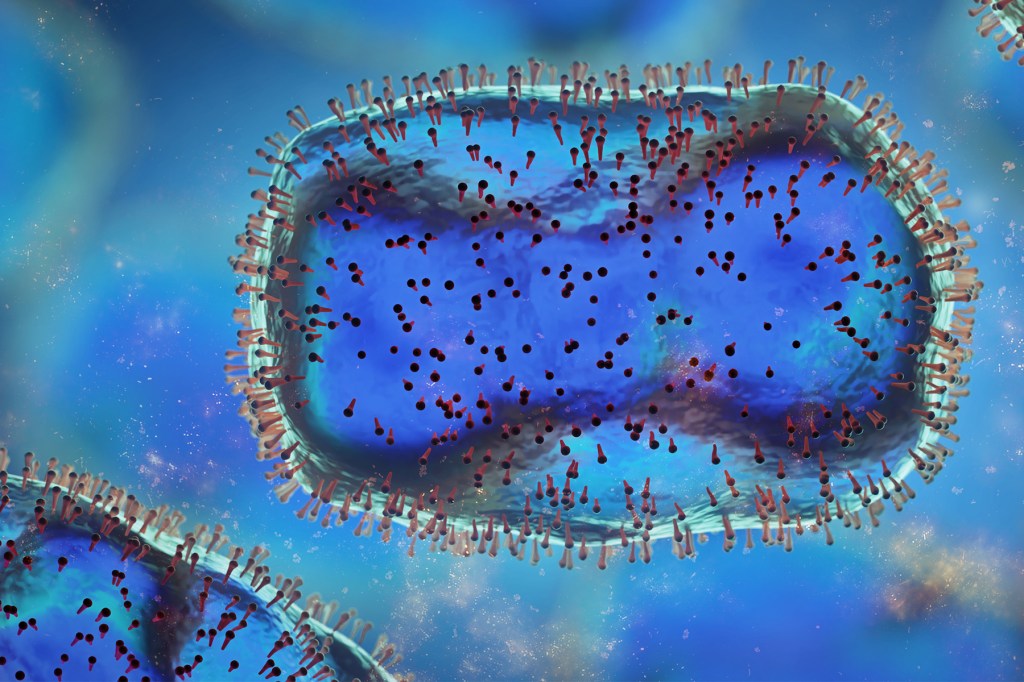 A closeup of the monkeypox virus