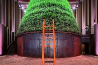 Vertical farming at the Netherlands Pavilion