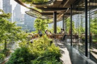 AI-generated illustrations of rewilded cities