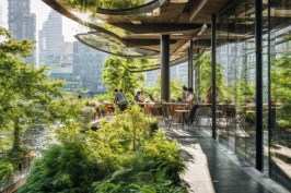 AI-generated illustrations of rewilded cities