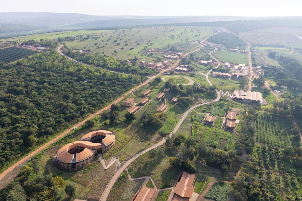 The Rwanda Institute for Conservation Agriculture.