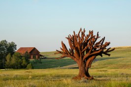 Ai Weiwei, Iron Tree, 2013. Cast in iron, 20.5’ x 23’ x 23’.