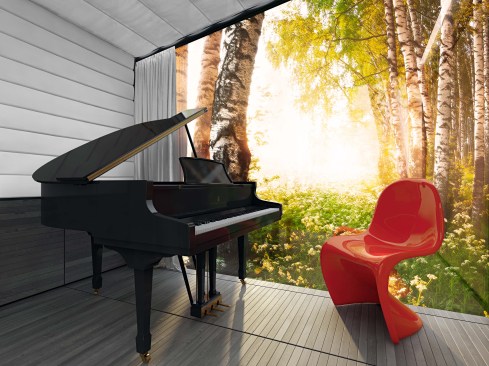 The BASIC model used as a music studio where immersion in nature recharges the mind and creativity allowing occupants to disappear into their work and the landscape. DISAPPEAR RETREAT has a neutral palette of only three finish materials, creating a zen atmosphere that emphasizes the exterior views and increases the perceived sense of space as the materials flow seamlessly from interior to exterior and from floor to wall to roof.