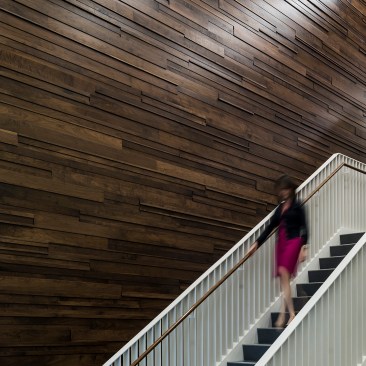 new visitor stair