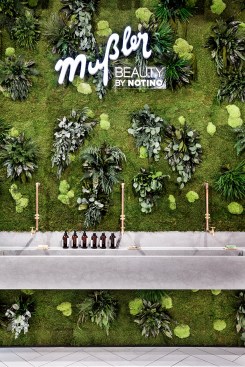 green wall