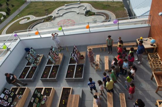 Roof Top Garden