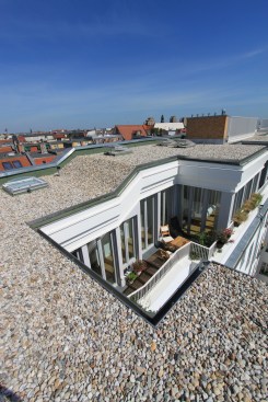 rooftop view