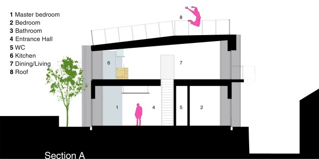 section