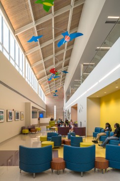 Le Bonheur Jackson Clinic, looking into main gallery from west entrance.
