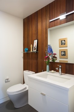 San Francisco Eichler Remodel