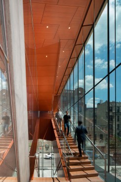 Columbia University Roy and Diana Vagelos Education Center, Perimeter stair