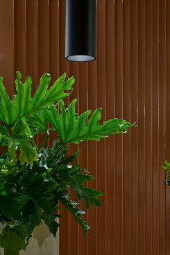 PONAMA architects