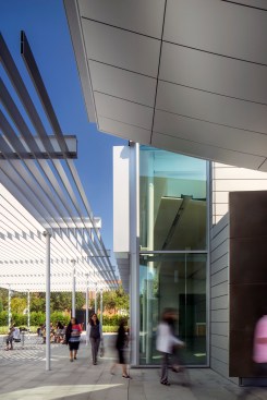 The trellis marks a transition between the entry and the garden.