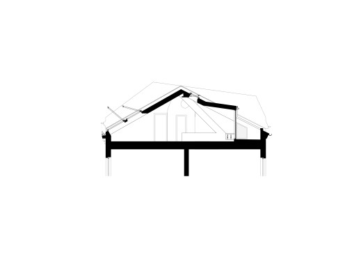section