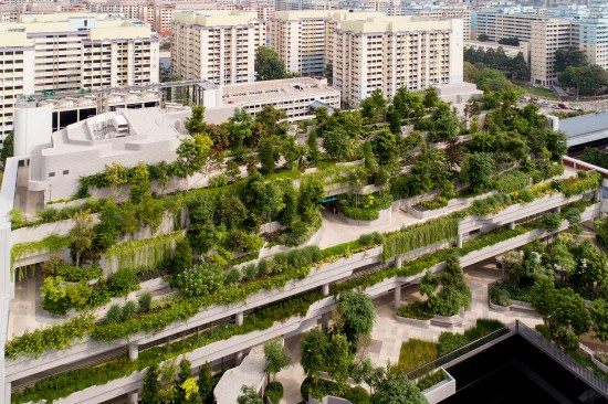 Public rooftop park