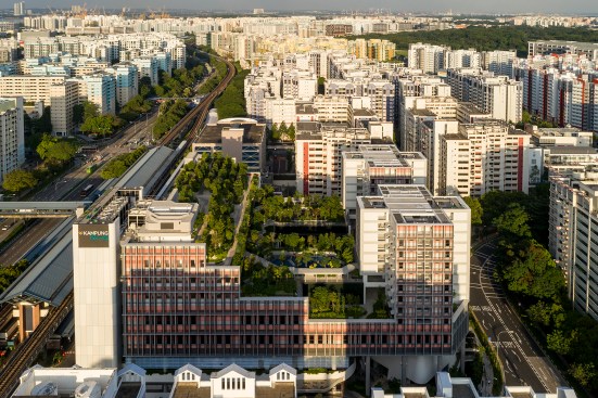 Bird's Eye Section