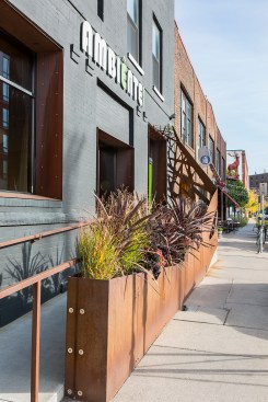 Exterior entrance to building showing ramp and artistic corten steel railing and planter