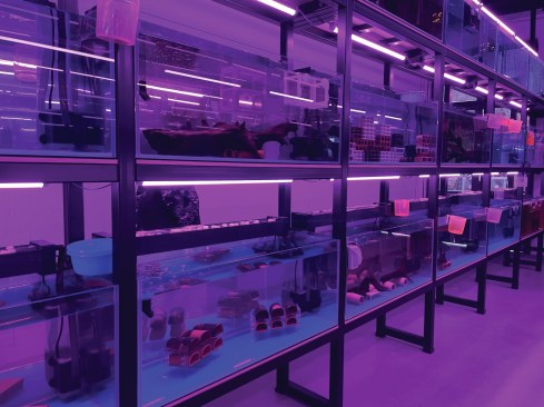 Trevor Yeung Cave of Avoidance (Not Yours), 2024. Installation view. Part of the Attachments, Hong Kong in Venice, 2024.