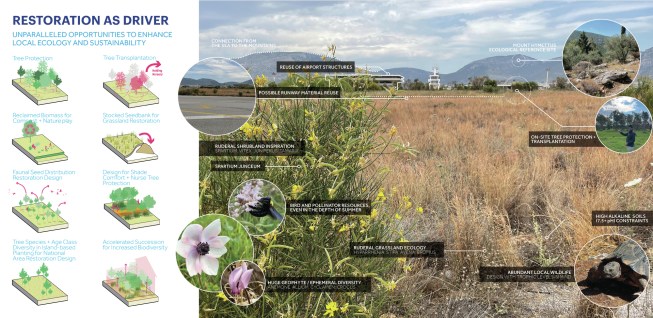 Understanding the potential of existing site conditions is key for decarbonizing landscape architecture. At the Ellinikon, early field assessments identified trees for preservation, transplant potential, and an understanding of what was thriving on-site without maintenance or intervention, as well as the potential for protecting and amending existing soils. Athens, Greece.
