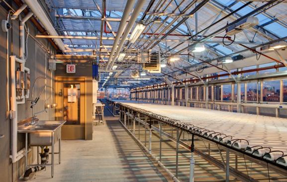 Blue Sea Development is partnering with Boston-based Sky Vegetables on the hydroponic farm. Forty percent of the produce will be made available to the community through local outreach to schools, hospitals, and markets.