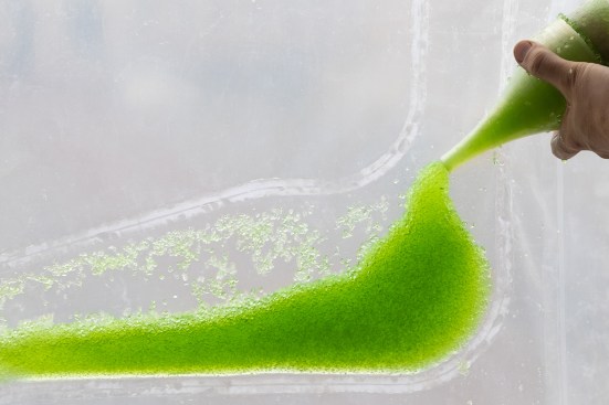 Photosynthetica curtain