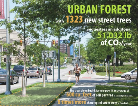 Euclid Avenue is being redesigned into a new bus rapid transit corridor with urban forestry as key strategy to improve thermal comfort, reduce runoff, and sequester carbon. Cleveland, Ohio.