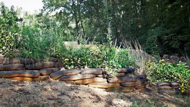 Native grass meadows and spreading shrubs provide erosion control and stormwater infiltration zones.