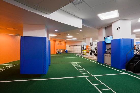 Indoor Turf