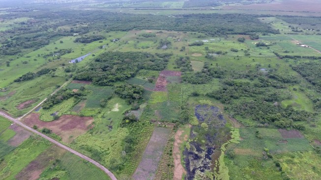Aerial view of Aguada Fenix. Causeways and reservoirs in front and the Main Plateau in the back.
