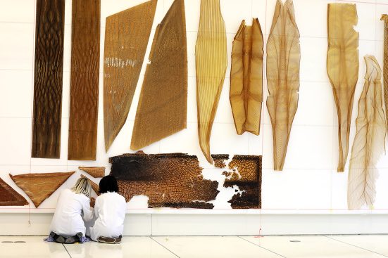 Aguahoja I (2018). The Aguahoja Artifacts Display is a catalog of material experiments spanning four years of research that shows the range of aesthetics and behaviors the Mediated Matter Group elicited in medium- to large-scale prints through performative geometric toolpaths, generative design, bio-composite distributions, and variable fabrication parameters.