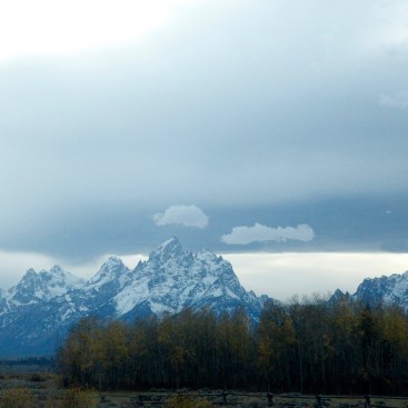 American landscape