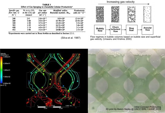 Carbon dioxide aeration performance using computational fluid dynamics analysis