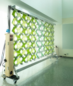 Biochromic window system showing algae outtake and carbon dioxide intake at left, and oxygen release and algae input at top